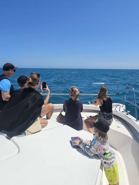Fuengirola: Dolphin Watching Boat Trip — Fun for All Ages - Practical Tips to Get the Most Out of Your 2 Hours