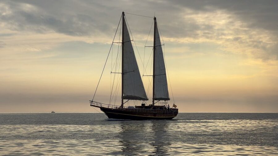 Fuerteventura: Sunset boat trip with DJ, Food & Drinks - Price and value: is $105 per person worth it?