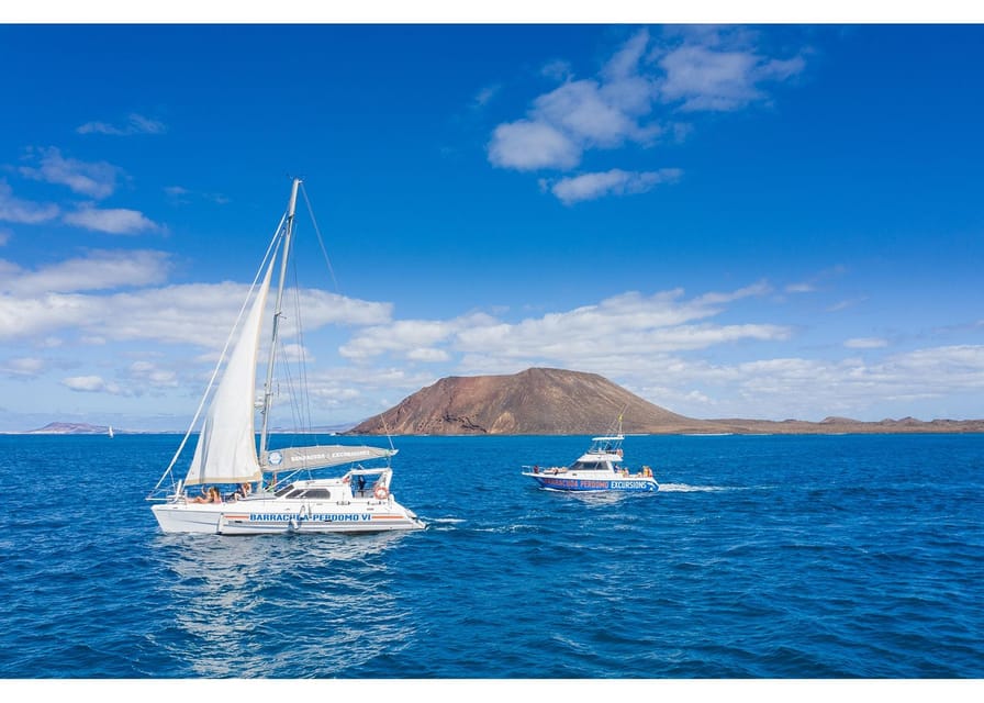 Fuerteventura: Whale & Dolphin Watching Boat Tour with Guide - Cruising Between Fuerteventura and Lanzarote: Where the Wildlife Comes Up