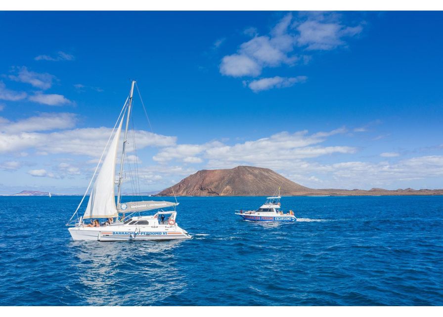 Fuerteventura: Whale & Dolphin Watching Boat Tour with Guide - Lobos Island Against the Clock: Snorkeling and Kayak-Style Time