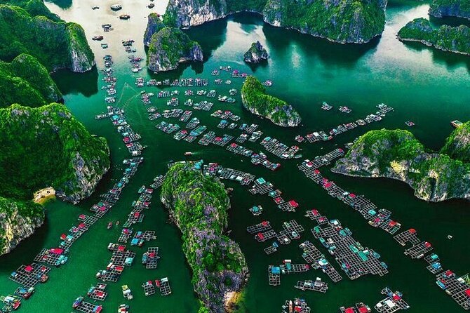 Full Day Boat Tour in Halong Bay, Cat Ba Archipelago & Lan Ha Bay - Viet Hai Village: biking and rural time with a meal included