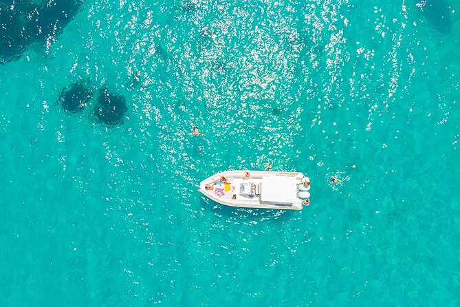 Full Day Boat Tour San Vito Lo Capo to Castellammare del Golfo - Zingaro Nature Reserve Stop: Cala del Leone with a Clear, Pictoresque Feel