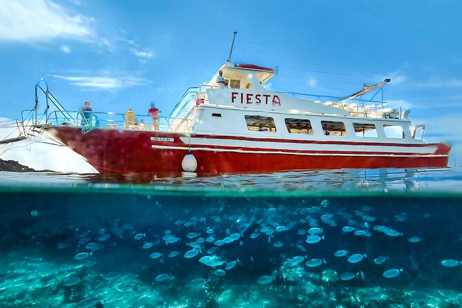 Full day boat tour transfers & lunch included - Platges de Son Saura: more breathing room for beach time
