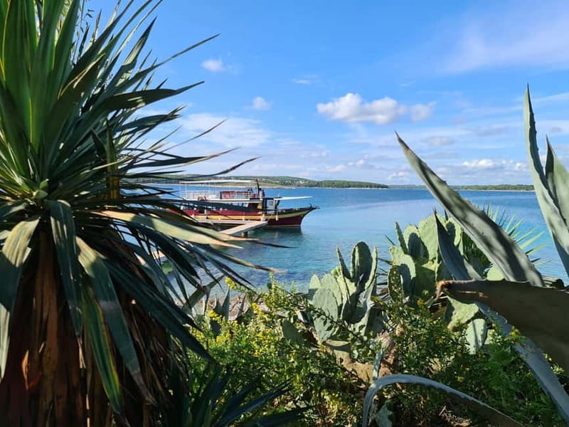 Full-Day Boat Trip, Cave Swim, lunch & Drinks - Medulin/Ceja - Price and value: is $53 worth it here?