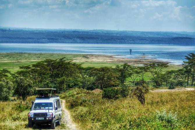 Full Day Lake Nakuru Park and optional boat ride on Lake Naivasha - Lake Naivasha boat ride: hippos, eagles, and birds (optional but worth it)