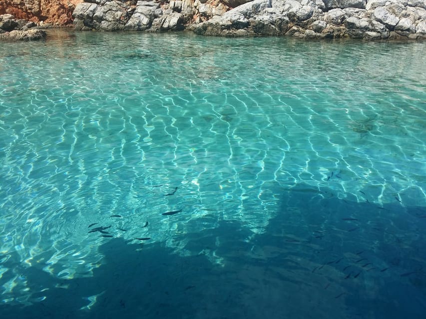 Full-Day Orak Island Boat Trip from Bodrum - Practical tips so you enjoy every stop