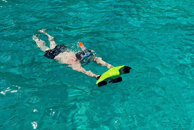 Full Day Palermo Boat Tour with Palermo Experiences - Grotta della Regina: last swim, cannoli, and a little drama