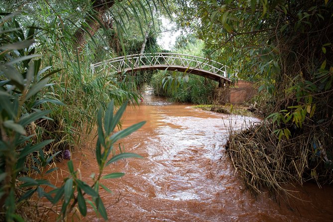 Full Day Trip To Ouzoud Waterfalls From Marrakech & Boat Tour - Food at Ouzoud: what’s included, what’s not, and how to budget