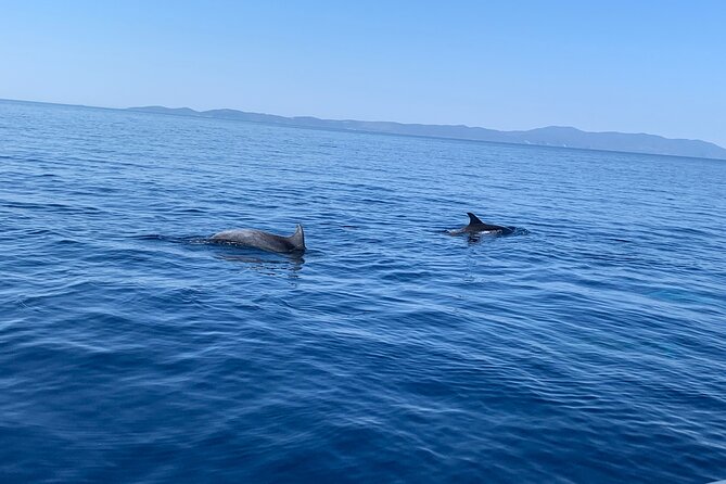 Fully customized private boat trip from Trogir and Split - Stop 2: Solta Island—Calm Water and a More Relaxed Rhythm