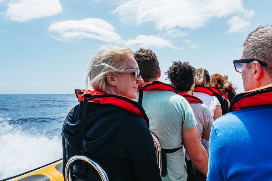 Funchal: Whale and Dolphin Watching Speed Boat Tour - How the search really works: spotters from land + quick boat moves