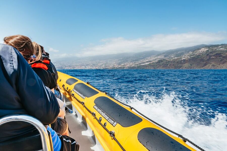 Funchal: Whale and Dolphin Watching Speed Boat Tour - The cetacean guarantee that changes the stakes