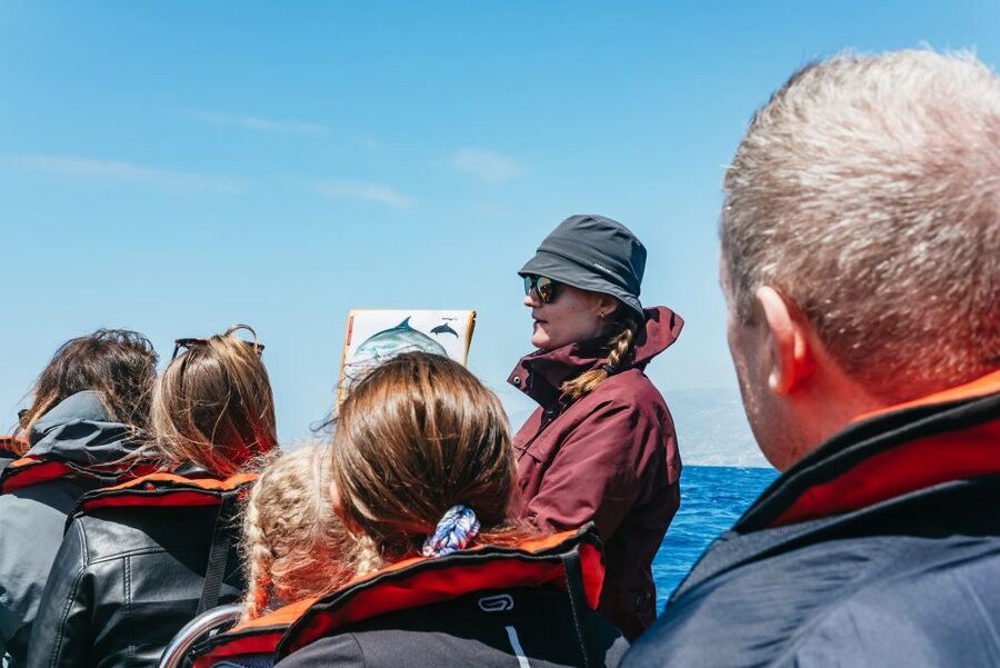 Funchal: Whale and Dolphin Watching Speed Boat Tour - What to bring so you enjoy the ride (instead of managing it)