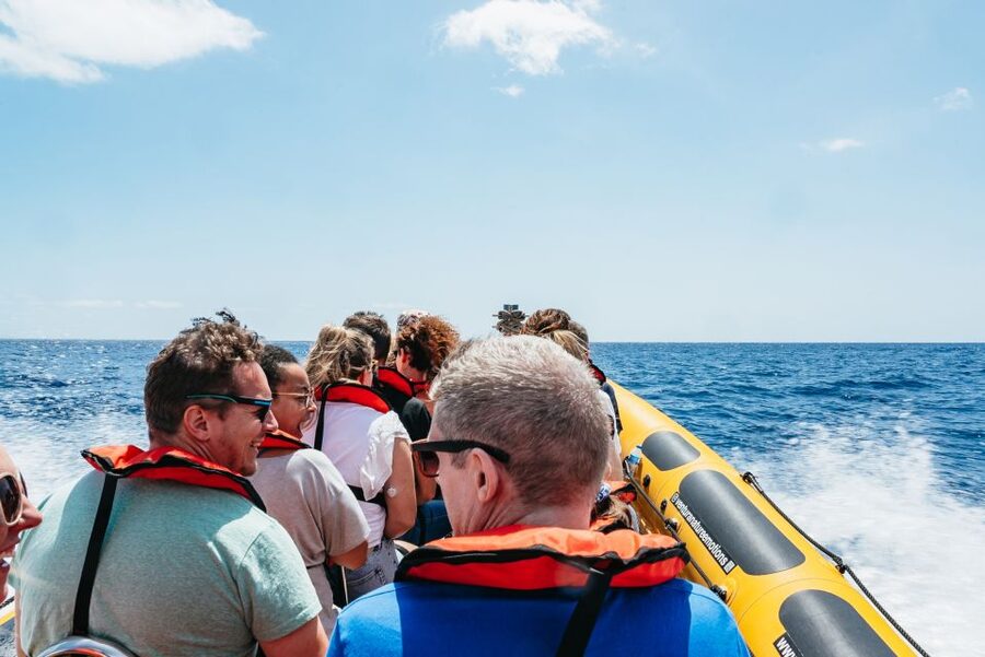 Funchal: Whale and Dolphin Watching Speed Boat Tour - Price and value: is $56 worth it?