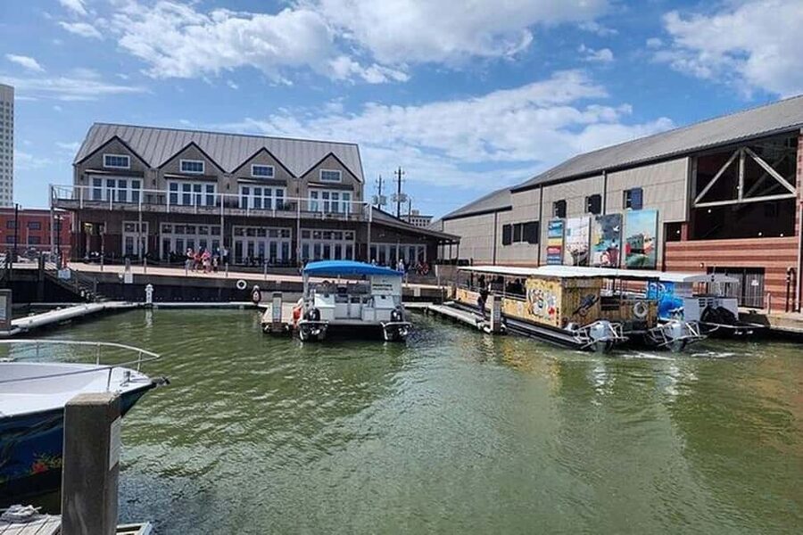 Galveston: Dolphin Watching Boat Tour in Galveston Bay - The Captain Factor: Stories, Humor, and Dolphin-Spotting