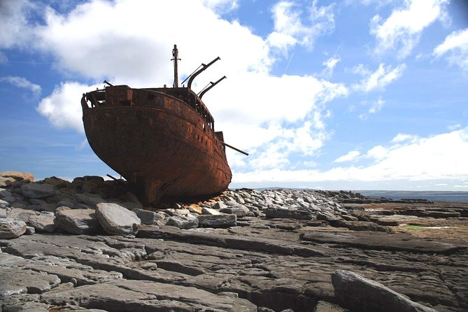 Galway to Inisheer Aran Islands, Cliffs of Moher and Boat Trip - Cliffs of Moher: the top stop that gives you the scale