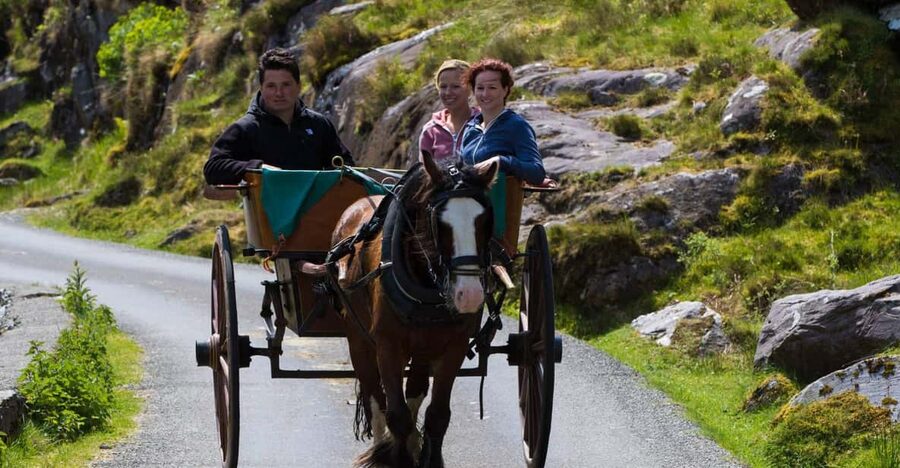 Gap of Dunloe & Lakes of Killlarney Boat Tour - Key Highlights You’ll Feel Immediately