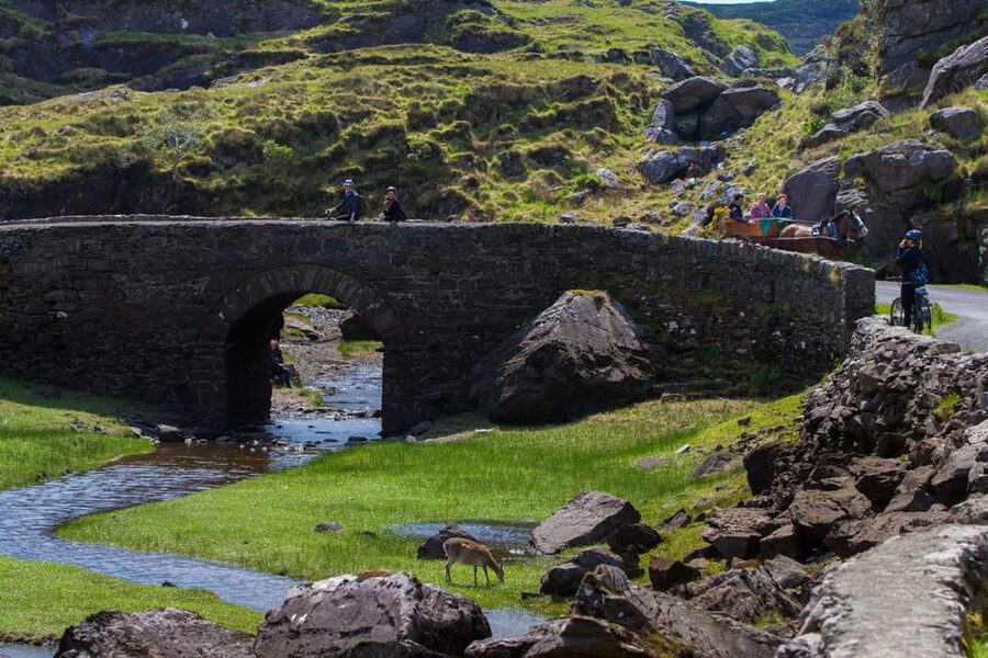 Gap of Dunloe & Lakes of Killlarney Boat Tour - Weather Backup: When the Plan Gets Messier