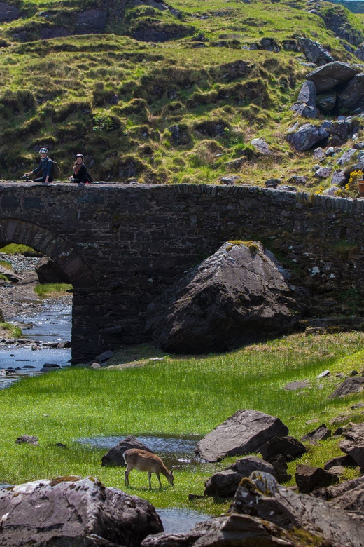 Gap of Dunloe & Lakes of Killlarney Boat Tour - Price and Value: Where the Money Actually Goes