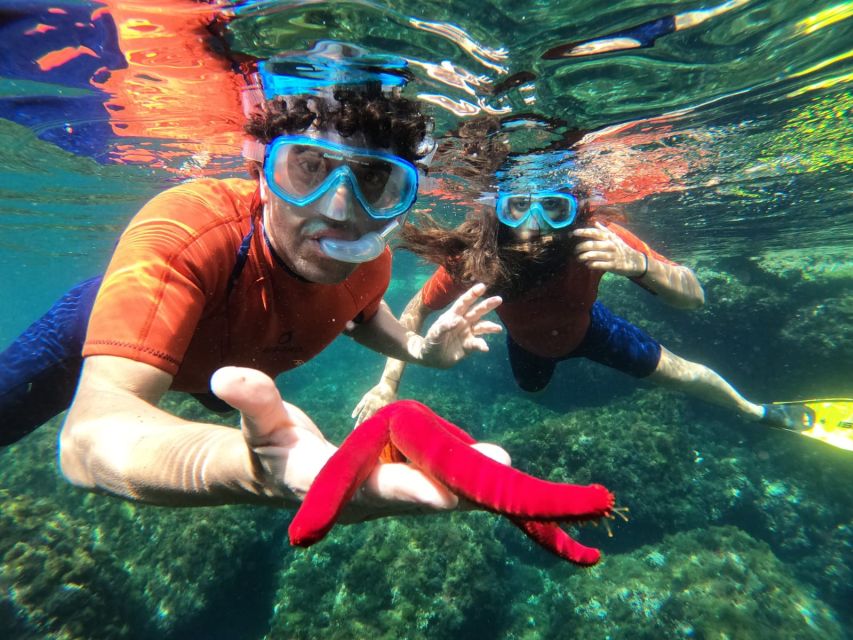 Giardini Naxos: Boat Trip Isola Bella with Snorkeling - Price and Value: Is $65 Worth It?