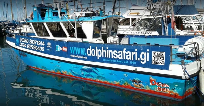 Gibraltar: Dolphin Watching Boat Tour - Key things that make this tour work