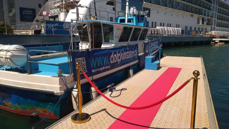 Gibraltar: Dolphin Watching Boat Tour - What happens during the 90 minutes on the water