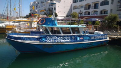 Gibraltar: Dolphin Watching Boat Tour - From Marina Bay to the open water: the start you’ll remember