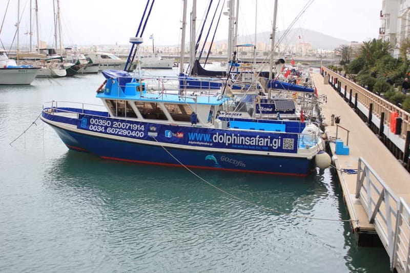 Gibraltar: Dolphin Watching Boat Tour - A practical note about entry requirements