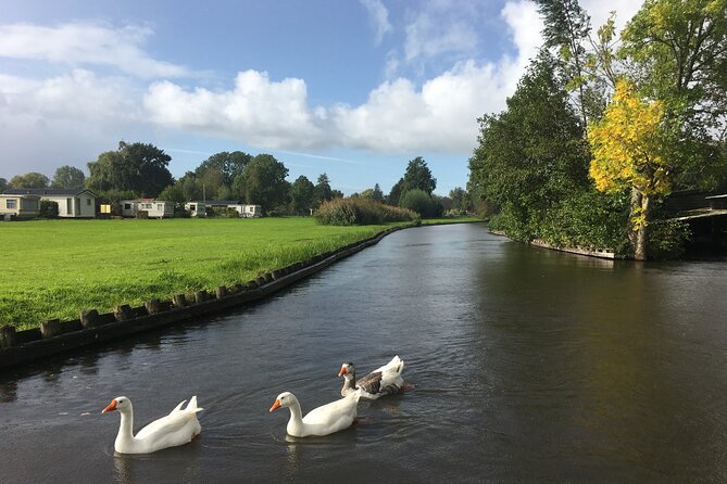 Giethoorn and Zaanse Schans Day Tour Small Group Incl. Boat Ride - Windmills and canals: why this day trip hits the sweet spot