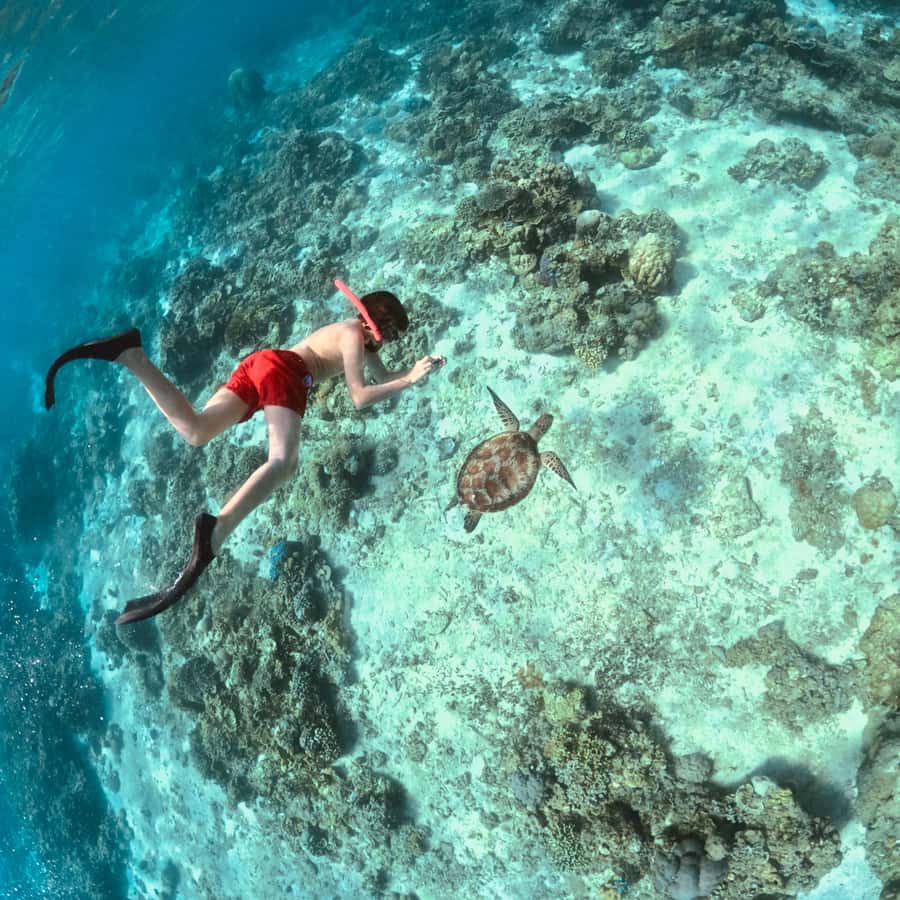 Gili Islands: Private or Shared Snorkeling Boat Trip - The Gili Islands checklist: turtles, statues, reefs, and beach time