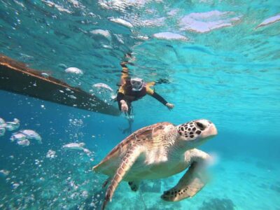 Gili Islands: Private or Shared Snorkeling Boat Trip - Turtle Paradise at Gili Meno: where the day becomes real