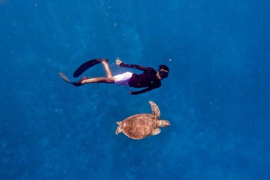 Gili Islands: Private Snorkeling Boat Tour with Local Guide - Stop 1: Gili Trawangan for turtles, underwater statues, and coral gardens