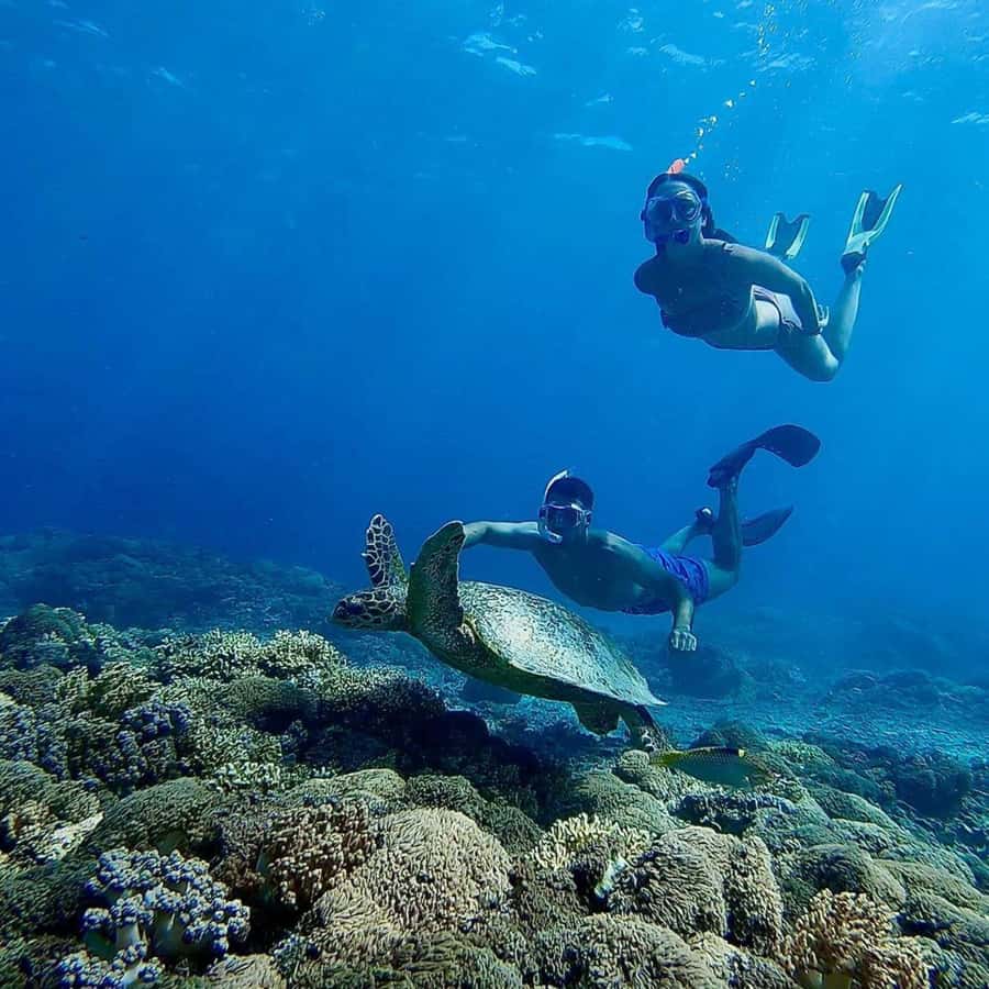 Gili Islands: Private Snorkeling Boat Tour with Local Guide - Stop 2: Gili Meno for secluded snorkeling and photo-ready underwater spots