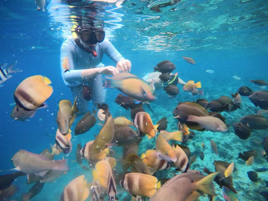Gili Islands: Private Snorkeling Boat Tour with Local Guide - Your guide can make or break the water time