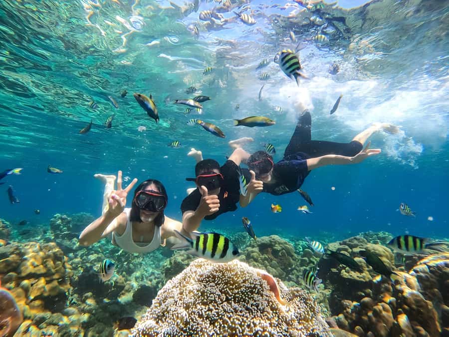 Gili Islands: Private Snorkeling Boat Tour with Local Guide - What to bring for a comfortable snorkel day
