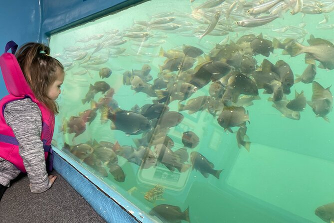 Glass Bottom Boat Ride in Redondo Beach - Key Highlights You Should Know