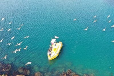 Glass Bottom Boat Ride in Redondo Beach - 7-Foot Glass Windows Below: Fish, Garibaldi, and Feeding Moments