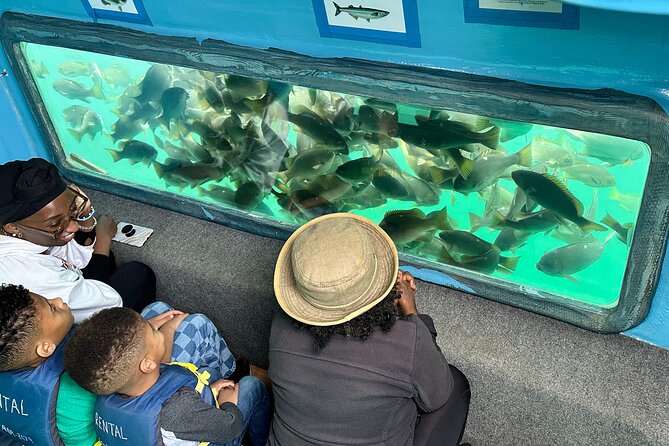 Glass Bottom Boat Ride in Redondo Beach - Small Group Size (Max 19) Means More Time With Your Crew