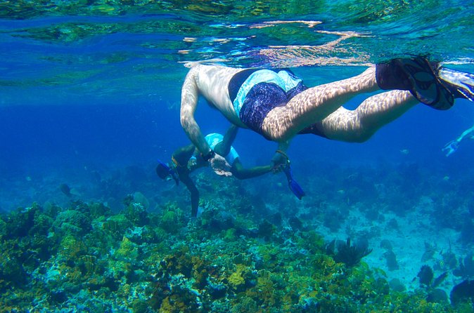 Glass Bottom Boat Ride/Snorkeling/Booby Cay Island from Negril - What the itinerary feels like in real life