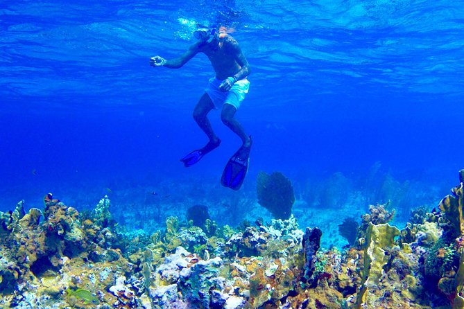 Glass Bottom Boat Ride/Snorkeling/Booby Cay Island from Negril - 1-hour reef snorkeling: gear included, captain guidance built in