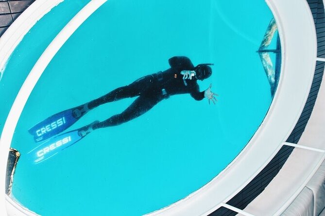Glass Bottom Boat Tour & Snorkeling in São Miguel, Azores - Snorkeling: gear, timing, and what “guided” really means