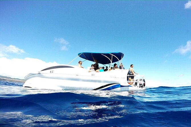 Glass Bottom Boat Tour & Snorkeling in São Miguel, Azores - What I think the $60.49 price really buys you