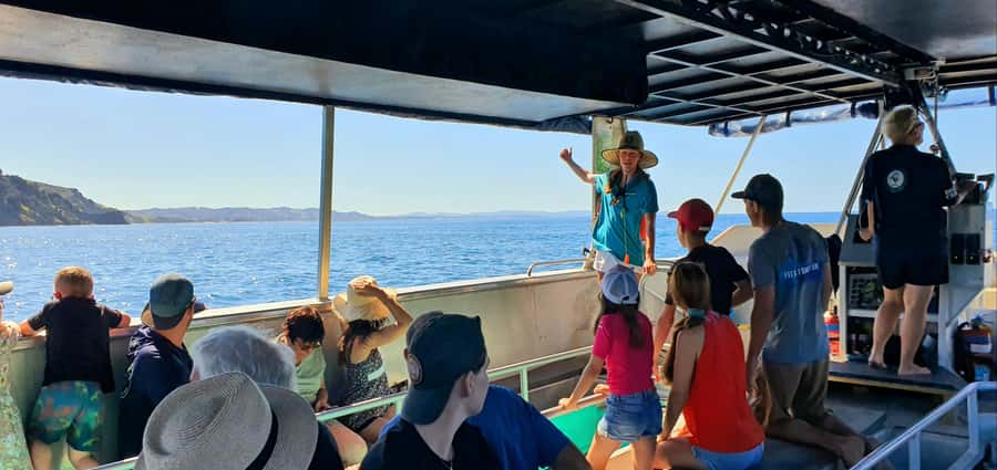 Goat Island: Glass Bottom Boat Tour - Why Goat Island is a smart place to start