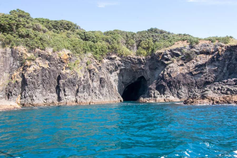 Goat Island: Glass Bottom Boat Tour - What to bring so the tour feels easy