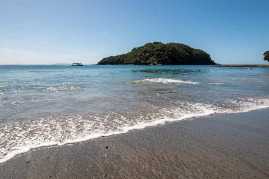 Goat Island: Glass Bottom Boat Tour - The Aquador glass-bottom boat: dry comfort and better viewing