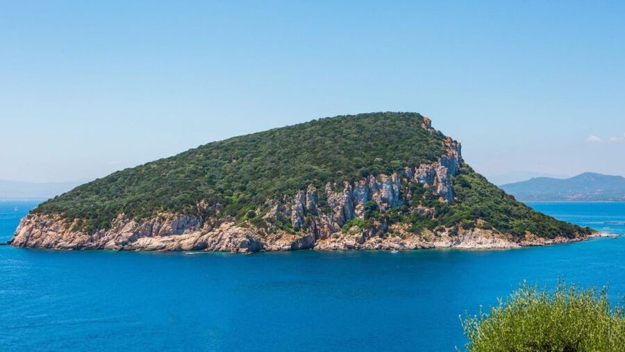 Golfo Aranci: Dolphin Watching and Snorkeling Boat Tour - Key things to know before you go