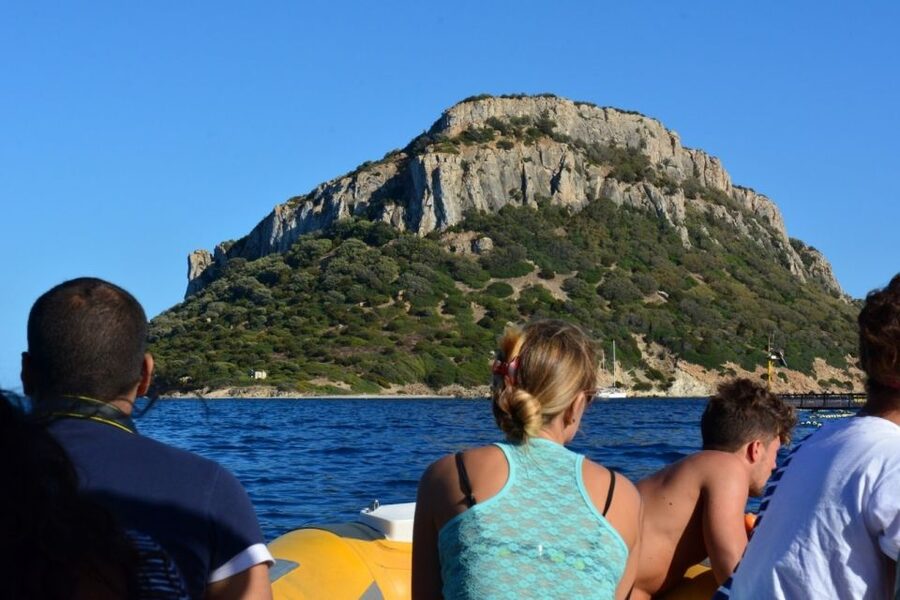 Golfo Aranci: Eco-Friendly Dolphin Watching Boat Trip - The 1.5-hour zodiac ride: comfort, crew, and how the time feels