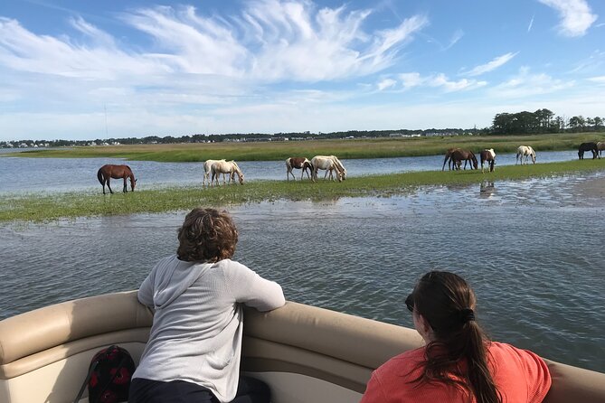 Grand Boat Tour around Chincoteague and Assateague Islands - Key things to know before you go