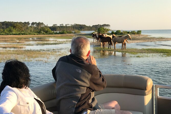 Grand Boat Tour around Chincoteague and Assateague Islands - Chincoteague ponies: the thrill of wild timing