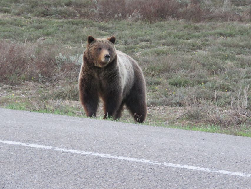 Grand Teton National Park: Full-Day Tour with Boat Ride - Quick highlights you’ll care about