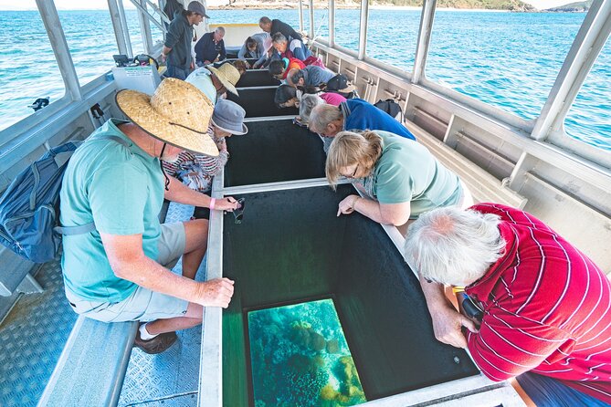 Great Keppel Island Glass Bottom Boat Tour & Ferry Transfer - Key Things I’d Watch For